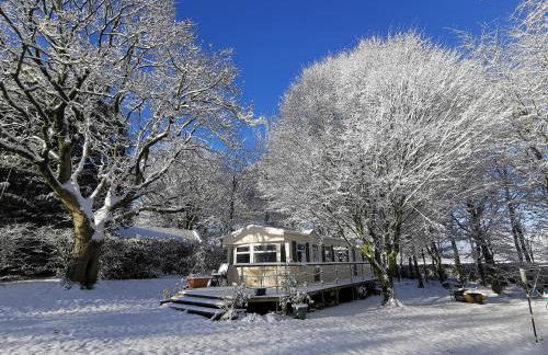 Doughery Den The Dark Hedges Hideaway - Foto 52