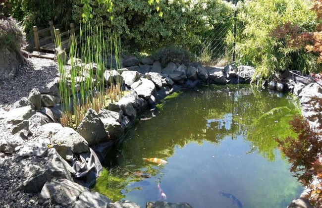 Wohnung in Frankenberg fur Radfahrer - Photo 32