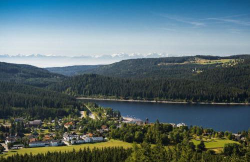 Schreinerhäusle nähe Titisee - Foto 12