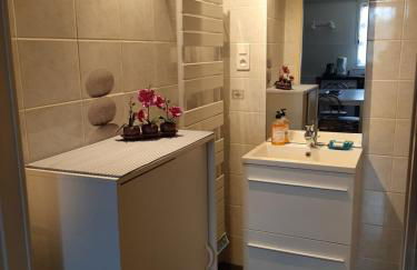 Gite climatisé L'Orée des Landes Proche Center Parcs - Foto 17