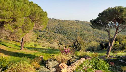 Nocini di Maremma - Photo 4, Garden view