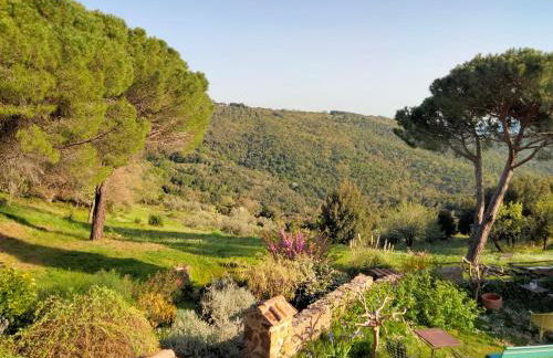 Nocini di Maremma - Photo 4