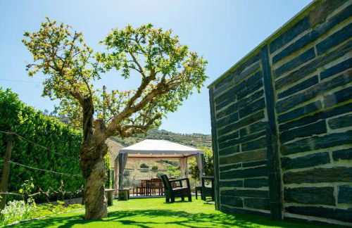 Cosy Historical House in Lamego - Quinta do Cabo - Foto 38