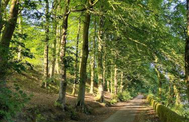 The Peak Retreat - Foto 36