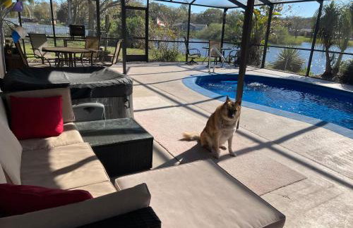 Private Tropical Waterfront Sanctuary w pool, hot tub & an island! Pet Friendly - Foto 77