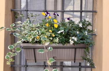 Iseo Portelle Holiday da Barbara - private parking & bike storage - Foto 24