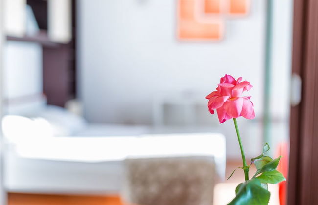 Apartments Zanze - Foto 32