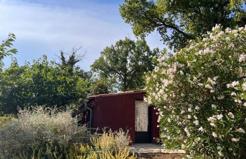 Le Grand Hermas - Foto 7