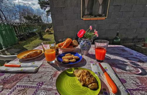 CHALET IL GELSOMINO DELL'ETNA - Foto 7