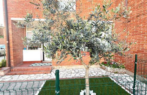 Domus Libeccio 57 - Foto 20