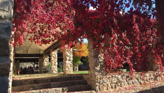 Almorzaremos en una granja local