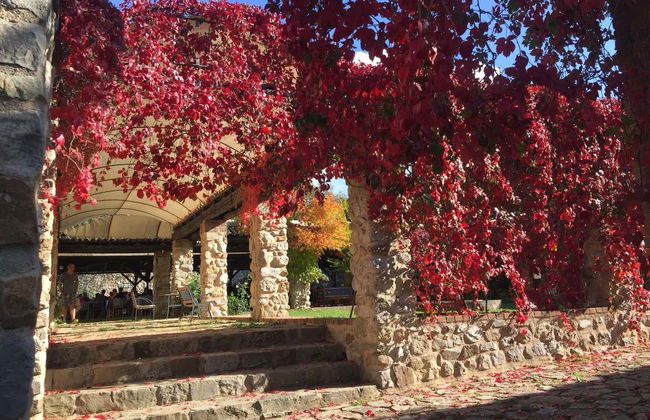 Tour pelos povoados do Parco delle Madonie + Degustação de ricota - Foto 5