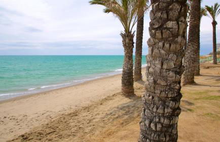 Sea City Torremolinos Golf - Foto 18