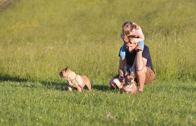 Apartments Vinska Trta - Photo 41