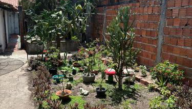 Casinha da vovó - Foto 3