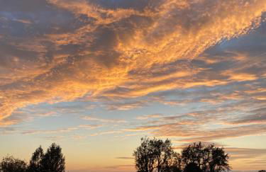 La Caseta de Raquel - Foto 14