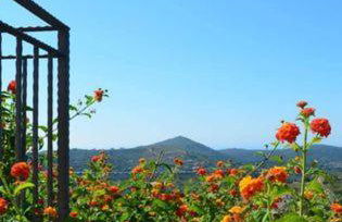 Residenza La Mannara - Foto 15