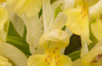 Casale Coccinella - Foto 19