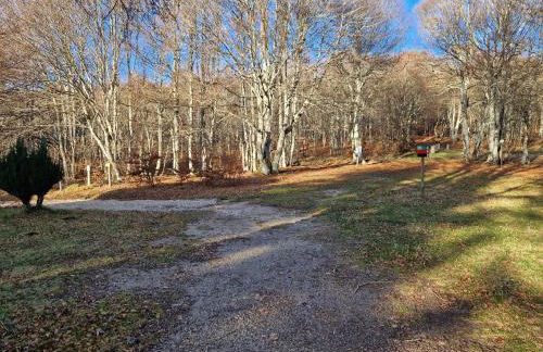 Le Chalet de l Abeille - Photo 22