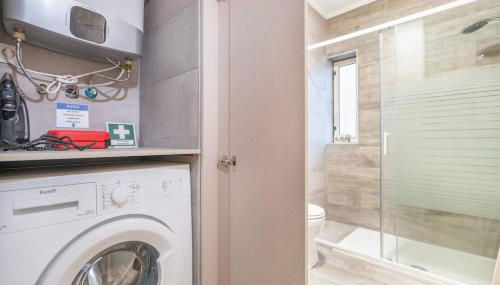 Tulipa do Gêres - Foto 3