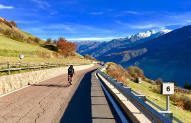 Klostergut - Foto 40