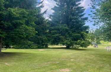 Mono Fiorrancino - Foto 31