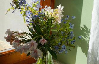 Agriturismo Cheloni - Foto 27