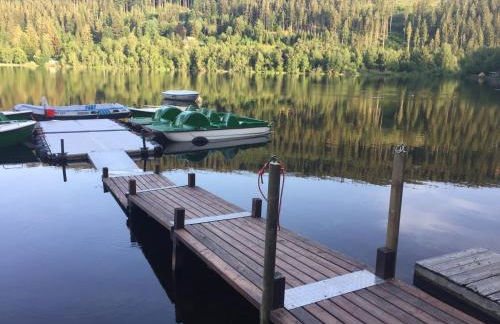 Titisee Haus Vogelnest - Photo 60