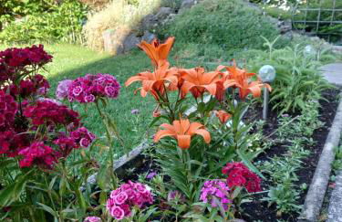 Haus-Brecherspitzblick - Foto 18