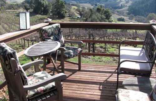Vacation Rental with Spa and Pool on Winery near Healdsburg, California - Foto 14