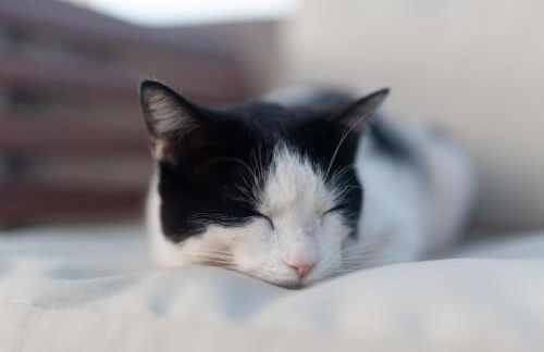 Finca La Punta - Foto 29