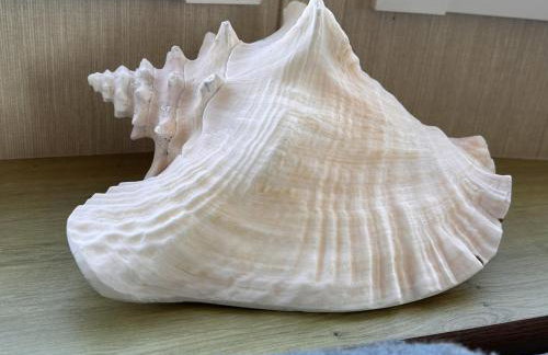 Seagulls Rest - Foto 28