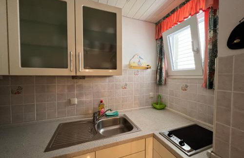 Apartman Blaga - Photo 20