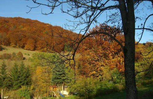 Holiday Home Gemütliches Ferienhaus in Fischbach Rhön by Interhome - Foto 16