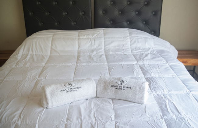 Olivos de Monte - Foto 13