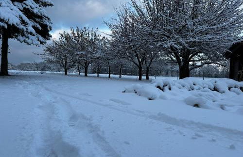 Idyllisches Ferienhaus “Werra Ausblick” am Meißner - Foto 45