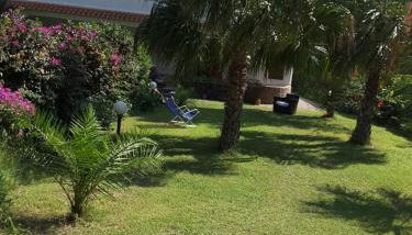 Villa Calipso - Foto 4, Garden