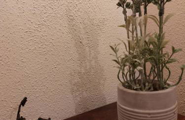 Fahrradkeller - Foto 13