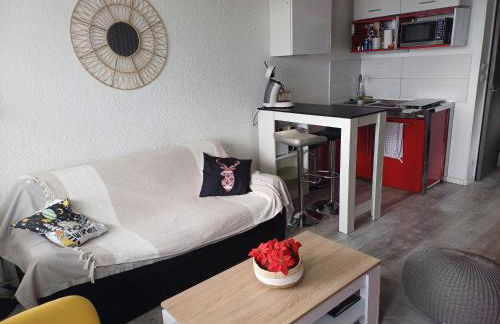 Appart PRA LOUP près des pistes - Foto 17