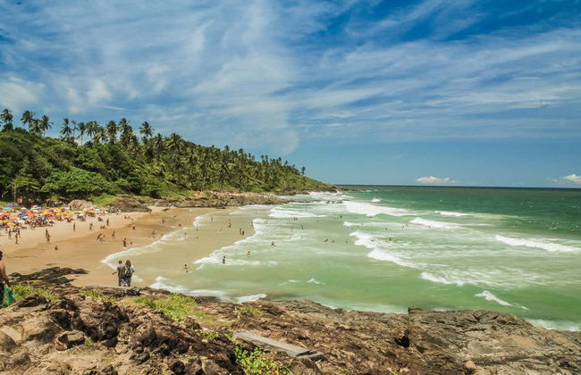 Day Trip to Itacaré - Photo 4