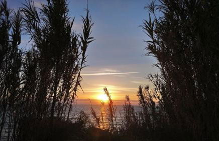 Apartments Maria - Balaia 702 - Foto 20