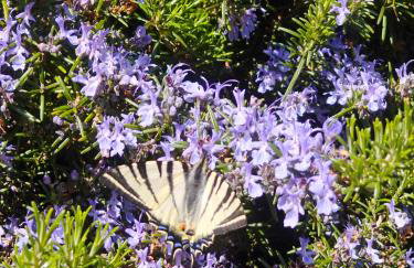 Country House - Casa Raffaella di Michele e Sven - Foto 9