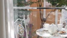 AM DEL SOL - Photo 3