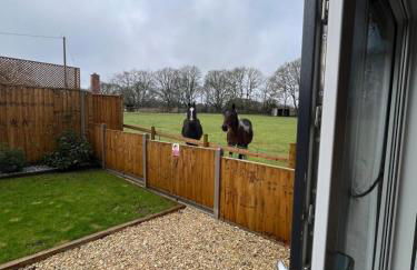 Sunset Retreat - Photo 15