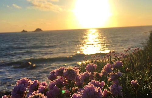 Roselands caravan park, Nr Lands End, Cornwall - Foto 72