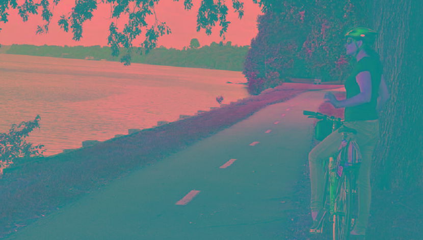 Alexandria Bike Rentals - Foto 2