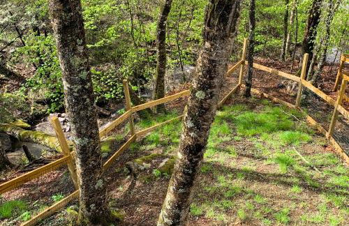 The Beech Hut - Foto 37