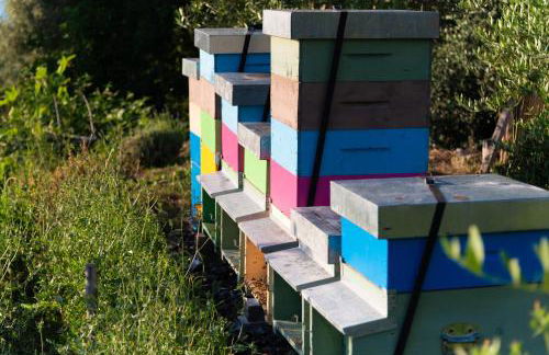 La Minucciola - Photo 31