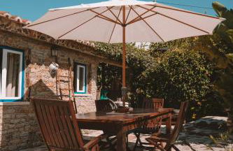 João Jungle - Foto 10