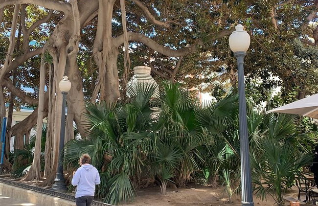 Von Albir & Benidorm, Alicante Entdeckungstour - Foto 13